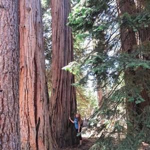 Meet your Posher, Katherine